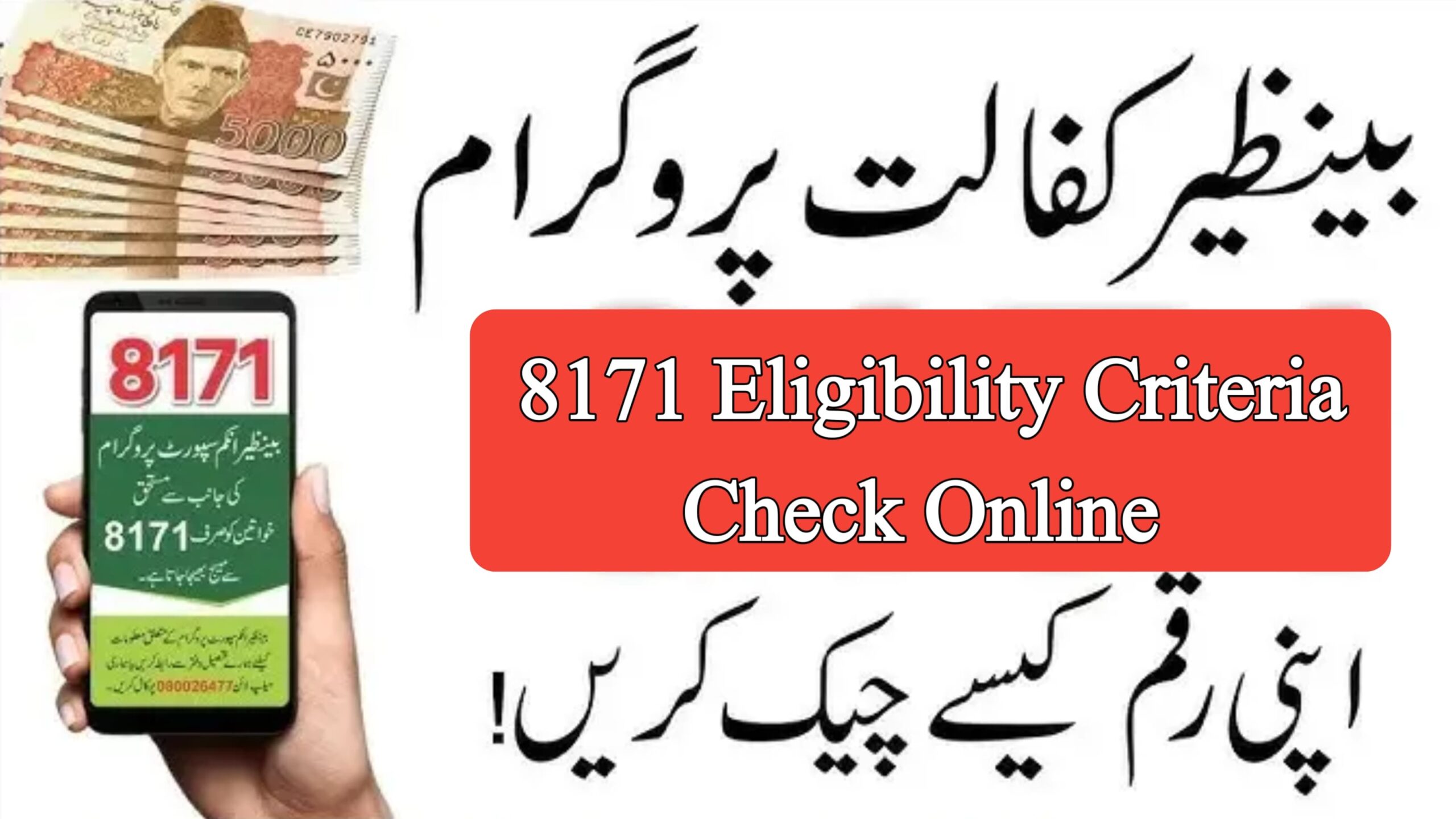BISP New Payment Check by CNIC – 8171 Web Portal (Complete Guide 2025), geo57hd
