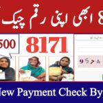 8171 New Payment Check Online By CNIC || 8171 Web Portal Check Your Payment, geo57hd