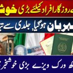 Good News 5 Lakh Work Visa issued || Free Apply Online, geo29hd